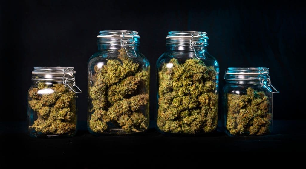 Dried,Cannabis,Buds,Stored,In,A,Glass,Jar,Isolated,Over Jar of cannabis