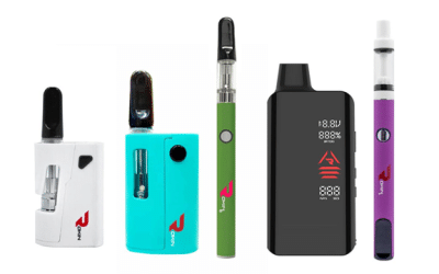 Choosing Between Compact and High-Capacity Dab Pen Batteries